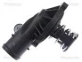 Термостат Audi A6 04-11 2.7-3.0TDI TRISCAN 862048387 (фото 2)