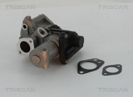 Клапан EGR Audi A4 / A5 / A7 / Q7 / VW Touareg 2.0-3.7TDI TRISCAN 881329312 (фото 1)
