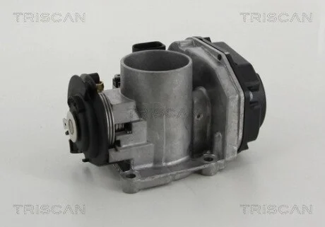Корпус дроссельной заслонки Seat Arosa, Cordoba, Ibiza, Inca, Skoda Felicia, VW Golf III, Polo / Classic, Vento 1.0-1.6i 91- TRISCAN 882029011 (фото 1)