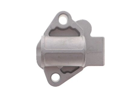 Кронштейн, натяжний пристрій ланцюга привода TRUCKTEC 02.12.291