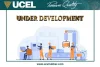 Подушка двигуна Ucel 20461 (фото 1)
