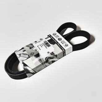 Пас клиновиий VAG 05L903159