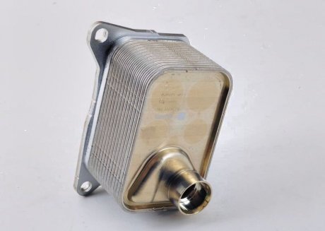 Радиатор масляный VAG 06L117021G (фото 1)