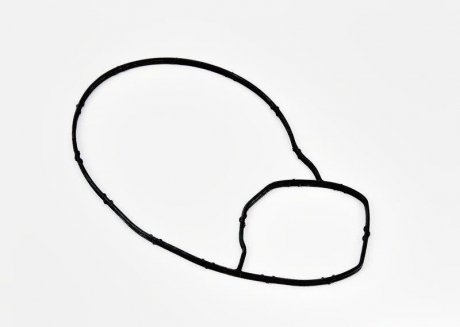 Прокладка водяної помпи VAG 06L121043B (фото 1)