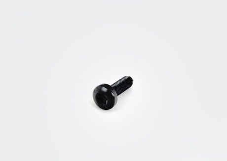 Винт с внутр. TORX М6 * 20 VAG N10124304