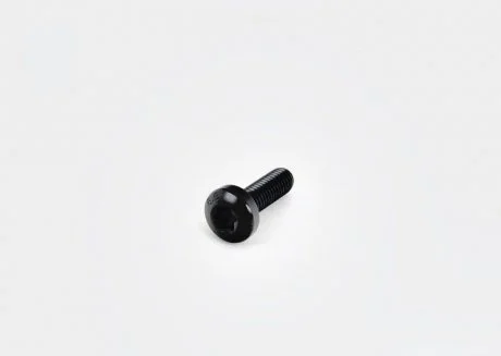 Гвинт із внутр. TORX М6 * 20 VAG N10124304