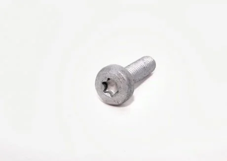 Винт с внутренним TORX М6 * 22 VAG N10700201