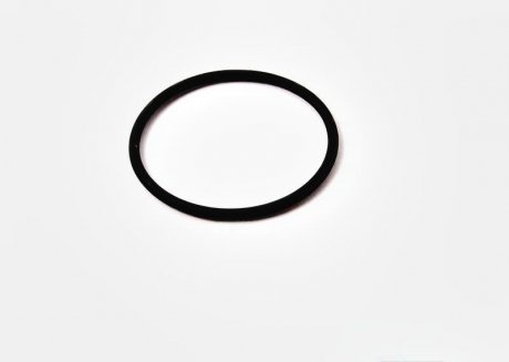 Кольцо уплотнительное 44 * 2.5 VAG N90062702 (фото 1)