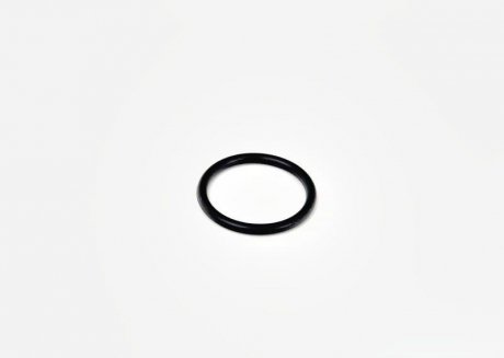 Кольцо уплотняющих VAG N90544501 (фото 1)