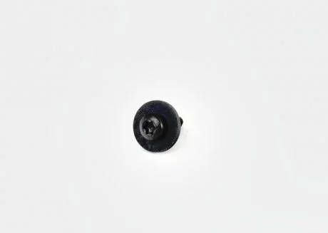 Гвинт з шайбою Torx 6x20 VAG N91118201 (фото 1)
