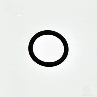Ущільнююче кільце VAG WHT008582