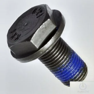 Болт М10x1x19.5 VAG WHT009656
