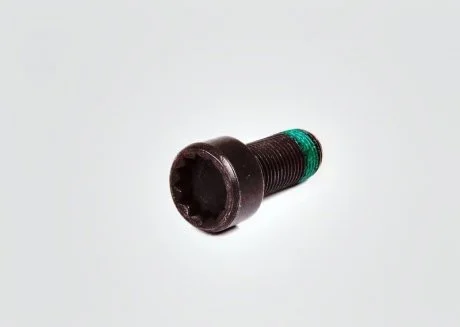 Гвинт М10х1х22. 30 маxовика VAG WHT009773