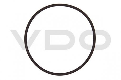 Прокладка электромотора Valvetronic BMW VDO / SIEMENS A2C59516960 (фото 1)