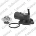 Термостат Skoda Fabia/Octavia1.3/1.4i 94- (87C) CALORSTAT BY VERNET Vernet TH6733.88J (фото 1)