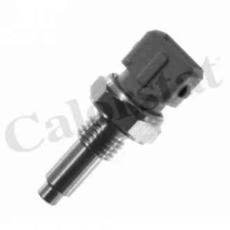 Датчик температури Boxer/Jumper 2.8 HDI 00-/Ducato 1.9/2.5/2.8 D/TDI CALORSTAT BY Vernet WS2589