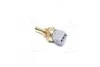 Датчик температури рідини BMW / FORD / NISSAN / SKODA 3 / Transit / Primera / Sunny / Favorit 1,3-2,8 85-92 Vernet WS2691 (фото 3)