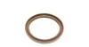 Комплект прокладок двигателя TOYOTA 1ZZ-FE, 3ZZ-FE, 4ZZ-FE 99-09 VICTOR REINZ 015314001 (фото 23)