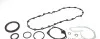 Комплект прокладок Kangoo/Trafic/Vivaro/Master/Megane 1.9dCi 01- (нижний) VICTOR REINZ 08-34414-02 (фото 2)