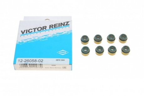 Комплект сальників клапану DIVERSE VICTOR REINZ 122605802 (фото 1)