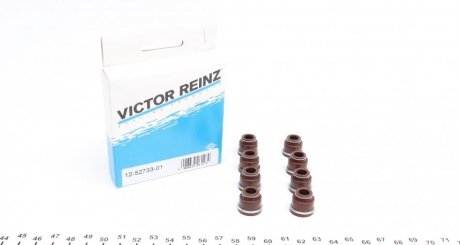 Комплект сальников клапанов VICTOR REINZ 12-52733-01 (фото 1)