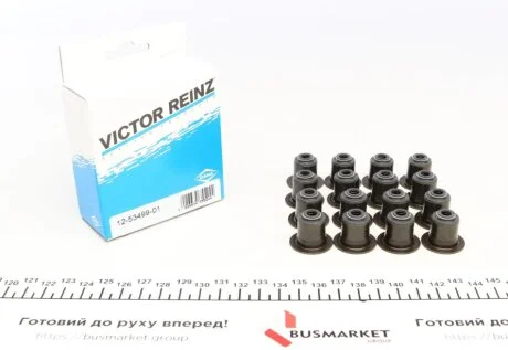 Сальники клапана, комплект KIA Sorento 2,2CRDI 02- VICTOR REINZ 125349901
