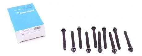 Комплект болтов ГБЦ BMW M40B16, M43B16 VICTOR REINZ 143200201