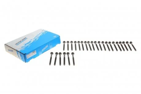 Комплект болтов ГБЦ MB E-G-S (W210, W124, W463, W140) 3,0TD 93-98 VICTOR REINZ 143203303