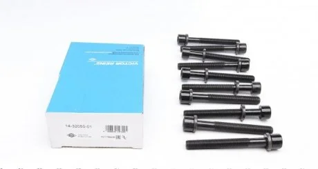 Комплект болтов ГБЦ AUDI / SEAT / VW 1,6-2,0 -01 VICTOR REINZ 143205001