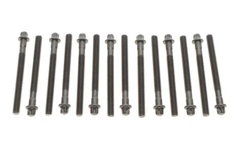 Комплект болтів ГБЦ BMW VICTOR REINZ 143210101