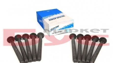 Комплект болтов ГБЦ RENAULT / OPEL 2,0-2,5 CDTI 00- VICTOR REINZ 143223101