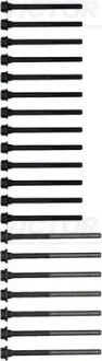 Комплект болтов ГБЦ AUDI / PORSHE / SKODA / VW Q7, Cayenne, Superb, Passat, Touareg VICTOR REINZ 143227501