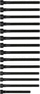 Комплект болтов ГБЦ BMW N52B30 X3 E83, X5 E70, 130i E81, 330i E92 VICTOR REINZ 143231501