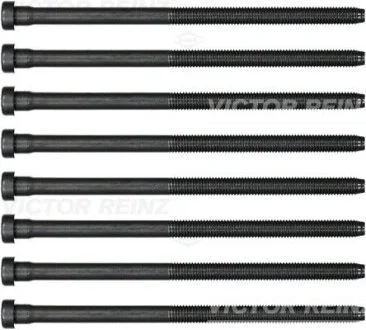Комплект болтів VICTOR REINZ 143238402