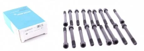 Комплект болтів ГБЦ Hyundai H100 2,5D, MITSUBISHI 4D56 VICTOR REINZ 145501501