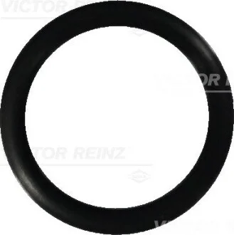 Уплотнительное кольцо VICTOR REINZ 407644900