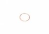 Уплотнительное кольцо резьбовой пробки VICTOR REINZ 41-72065-30 (фото 1)