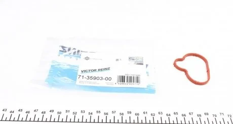 Прокладання впускного колектора CITROEN / FIAT / PEUGEOT 1,8-2,0 99- VICTOR REINZ 713590300