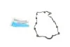 Прокладка крышки головки цилиндров AUDI A4, A6 2,0 Tdi 04- 713604800