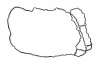 Прокладка крышки головки цилиндров BMW N53B30 125i E82, 325-330i E90, 525-530i E60 VICTOR REINZ 713928600 (фото 1)