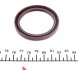 Сальник к / вала перед. Renault Master // Opel Movano // Nissan Patrol GR 3.0TDI 16V (ZD30DDTI) 00-, Terrano II 3.0TDI 00-10 VICTOR REINZ 81-53584-00 (фото 3)