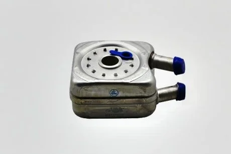 Радиатор масляный Vika 11170068501