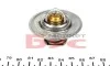 Термостат // Audi Seat Skoda VW WAHLER 314187D (фото 2)