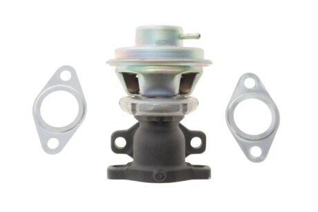 Клапан EGR WAHLER 712069D (фото 1)